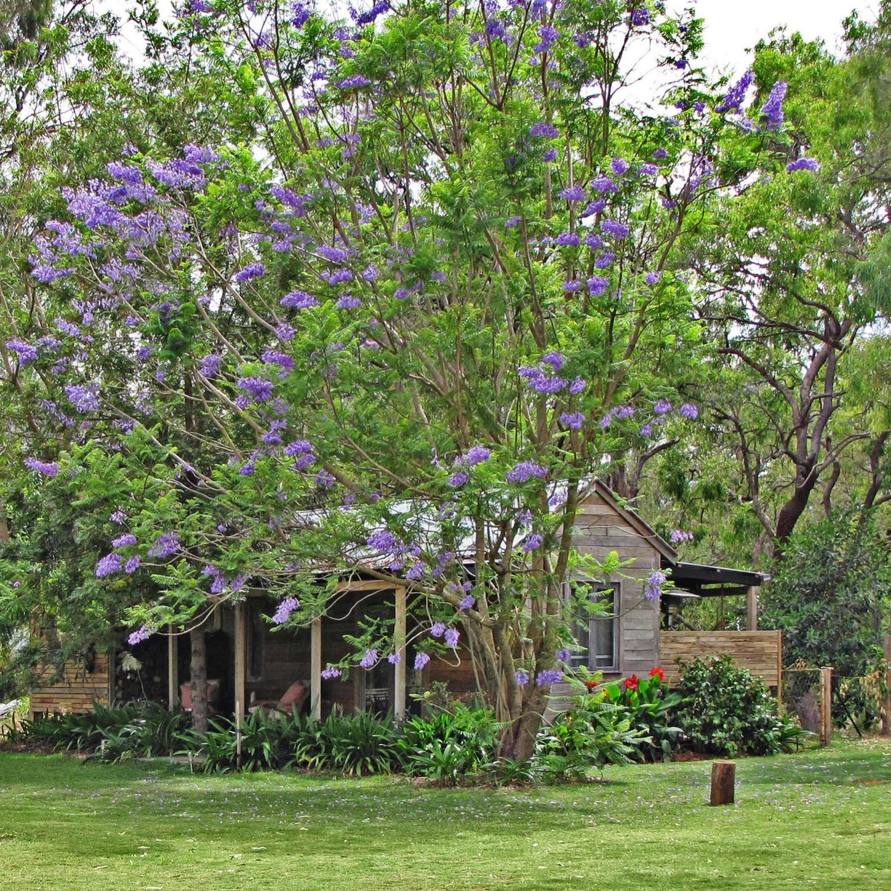 Hotel The Laurels Of Chinchilla Extérieur photo